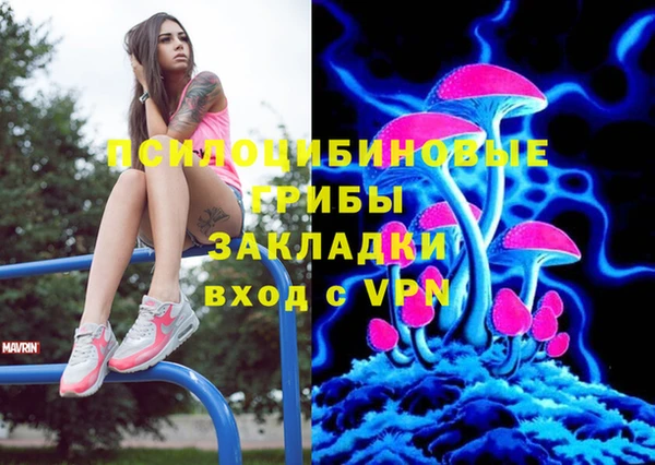 стафф Тольятти