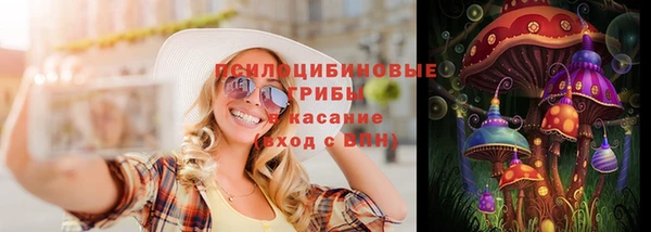 apvp Краснослободск
