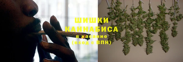 apvp Краснослободск