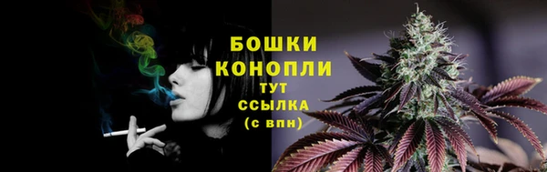apvp Краснослободск