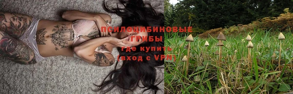 мяу мяу мука Коряжма