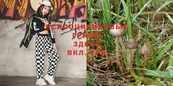 apvp Краснослободск