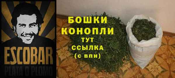 apvp Краснослободск
