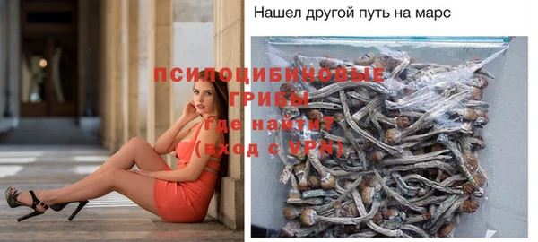 мяу мяу мука Коряжма