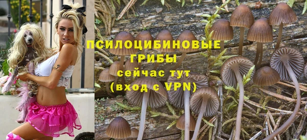 mdma Корсаков