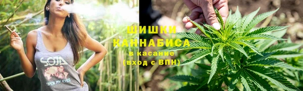 apvp Краснослободск