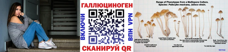 Псилоцибиновые грибы мухоморы mega ТОР Неман цены