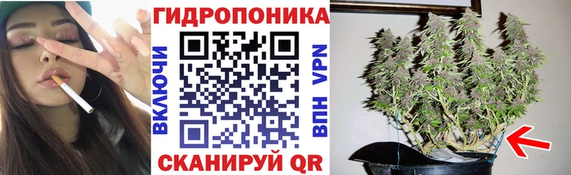 Бошки Шишки White Widow blacksprut Неман